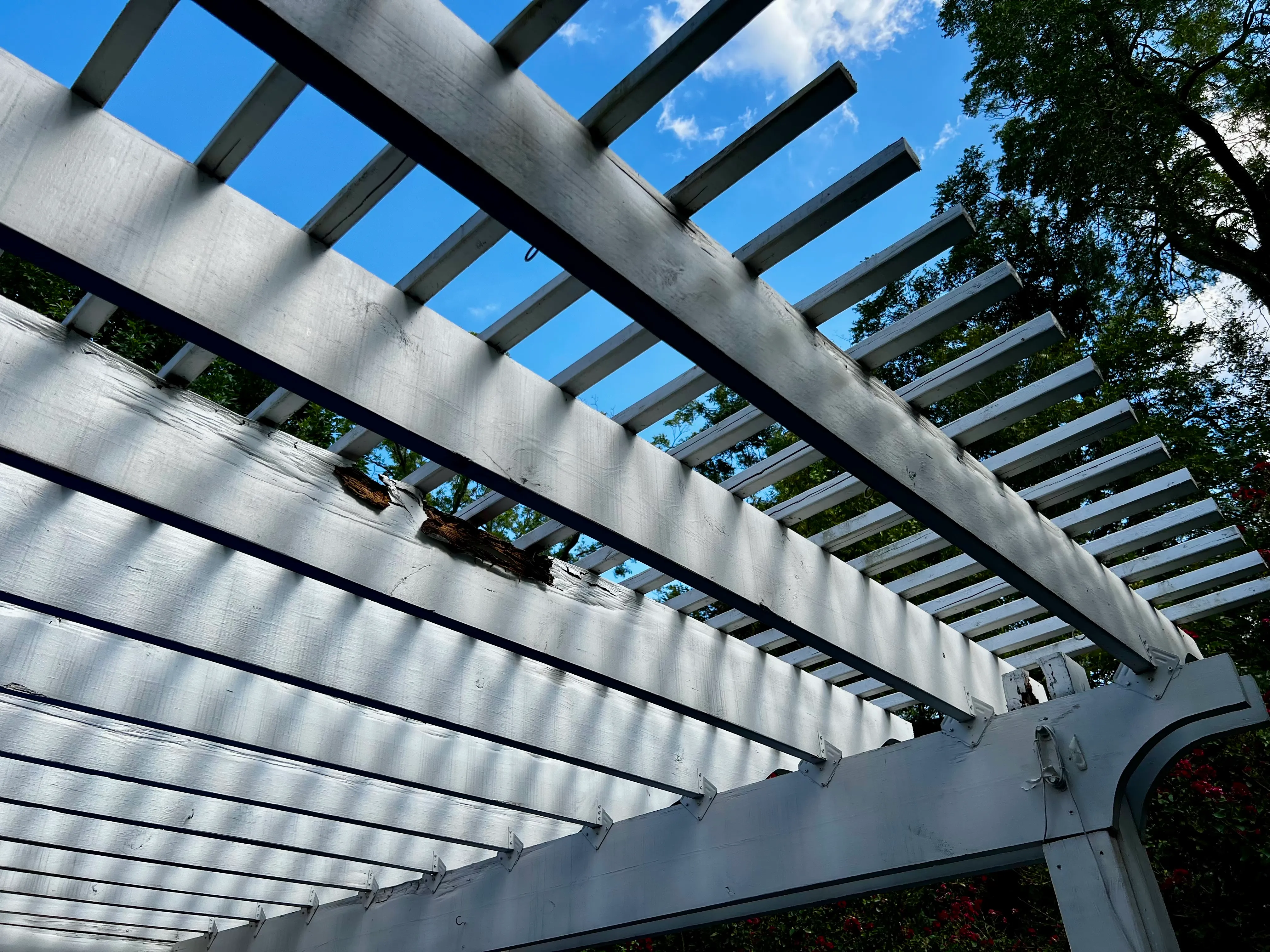 Close-up of a wood pergola rafter rotting away from water damage
